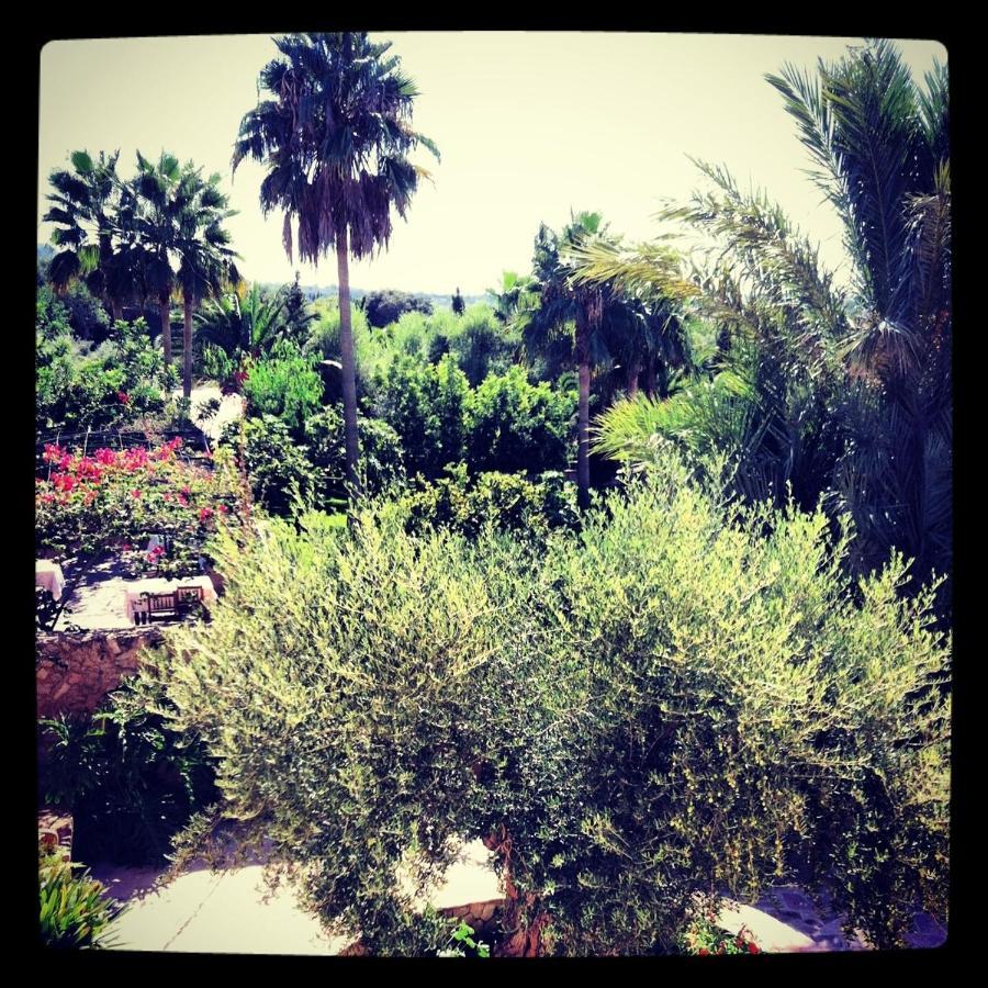 كاس كاتالا Hotel Rural Son Terrassa الغرفة الصورة