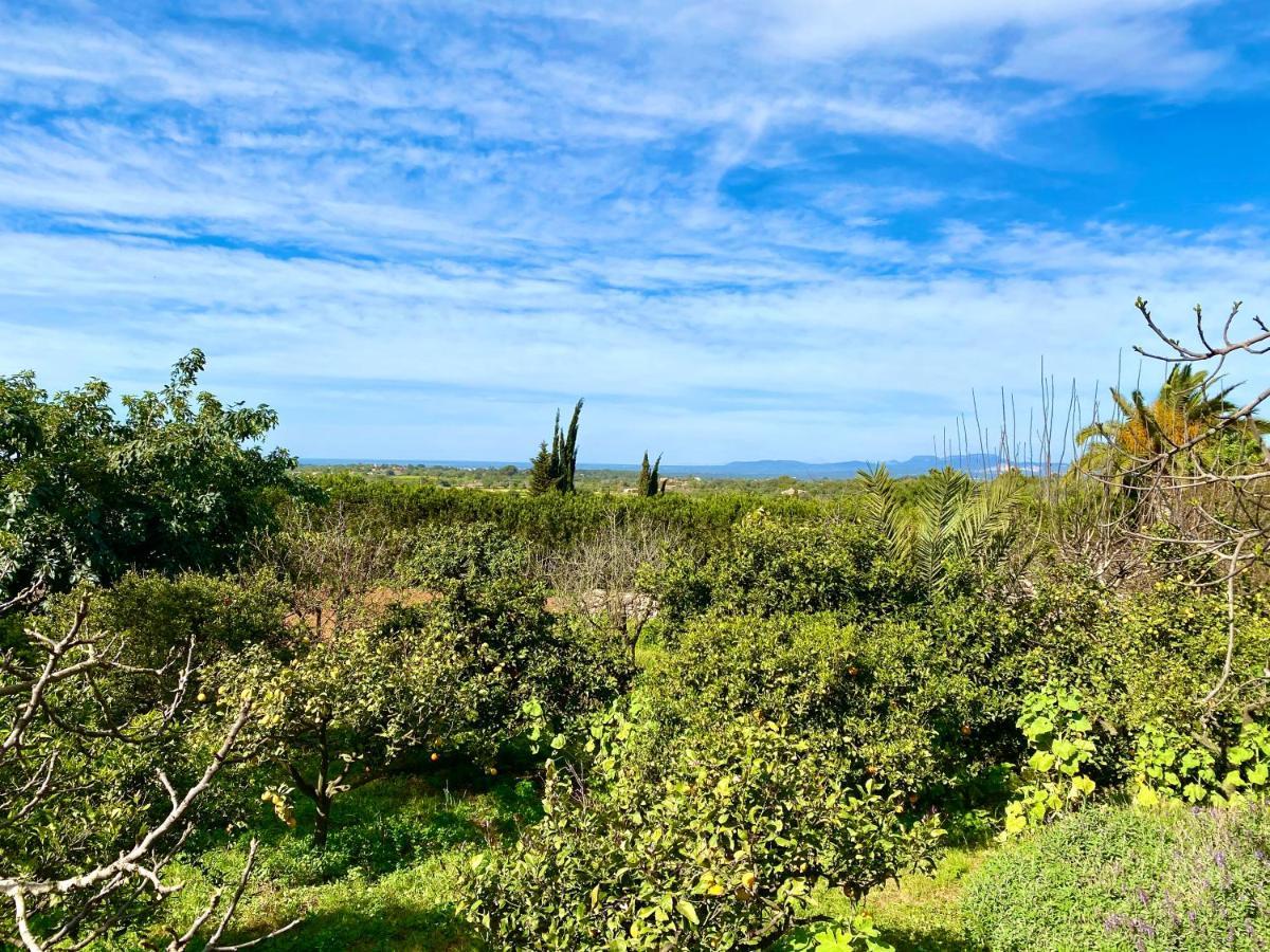 كاس كاتالا Hotel Rural Son Terrassa المظهر الخارجي الصورة